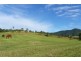 Hollisdale NSW 2446