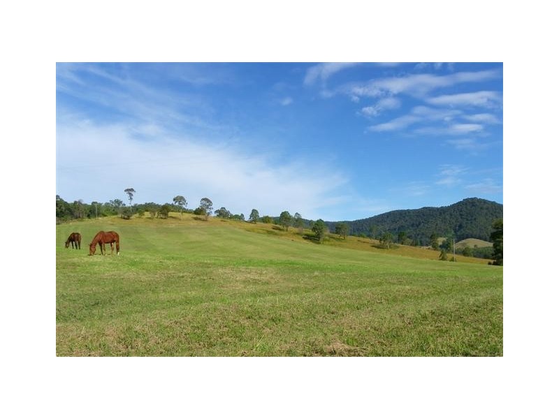 Hollisdale NSW 2446