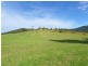 Hollisdale NSW 2446