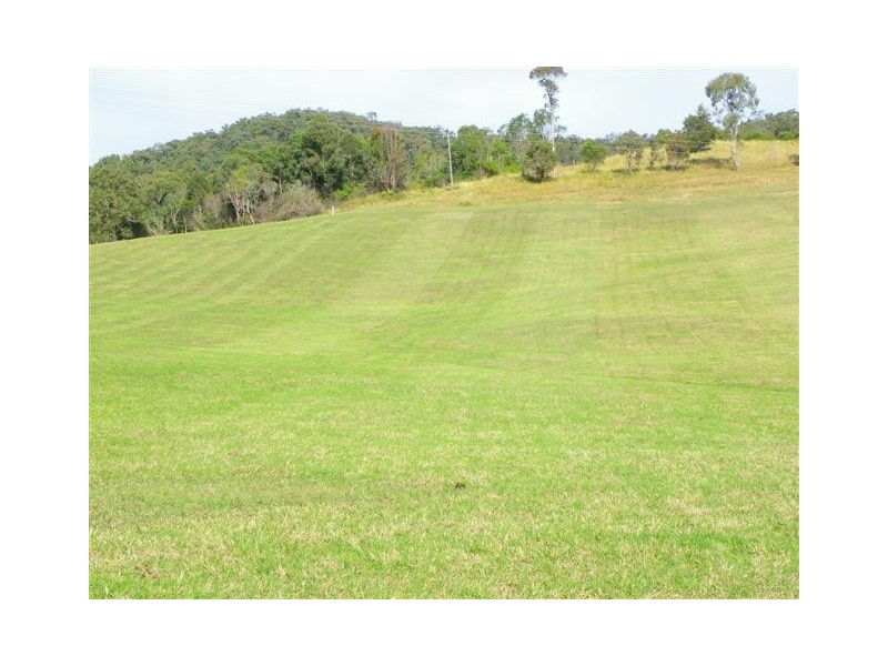 Hollisdale NSW 2446