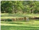 Hollisdale NSW 2446