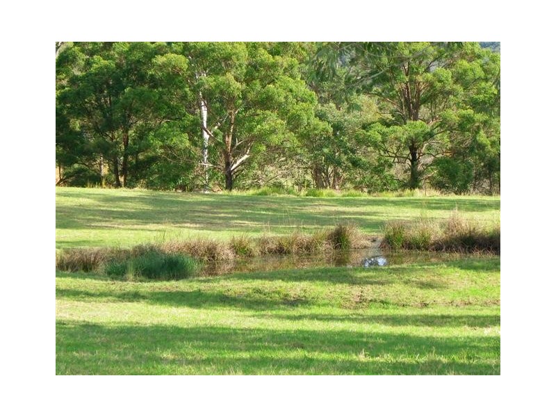Hollisdale NSW 2446