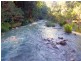 Hollisdale NSW 2446