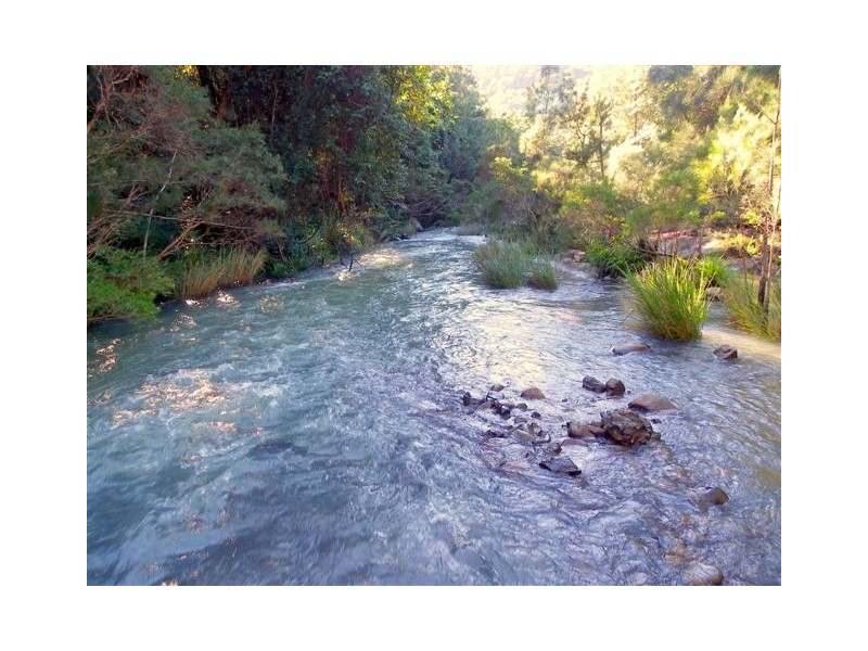 Hollisdale NSW 2446
