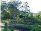 Hollisdale NSW 2446
