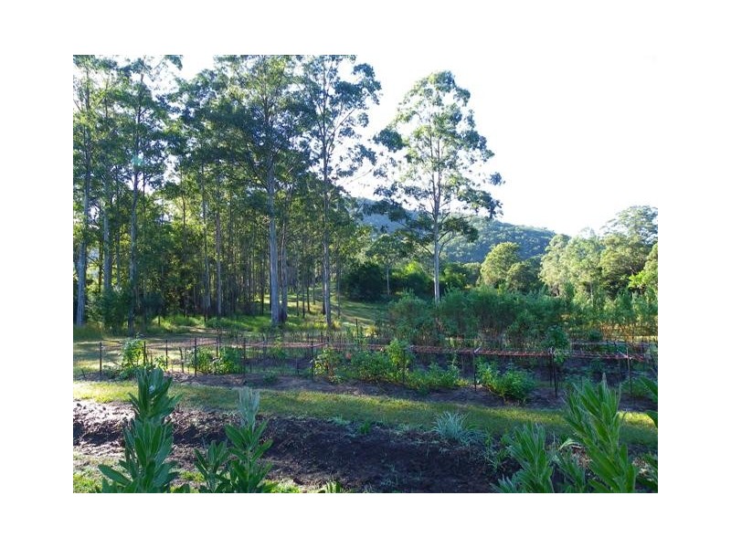 Hollisdale NSW 2446