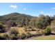 Hollisdale NSW 2446