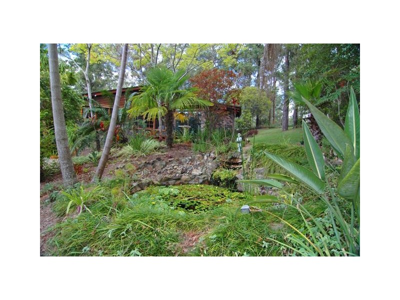 Sancrox NSW 2446