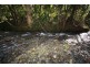 Birdwood NSW 2446