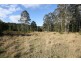 Birdwood NSW 2446