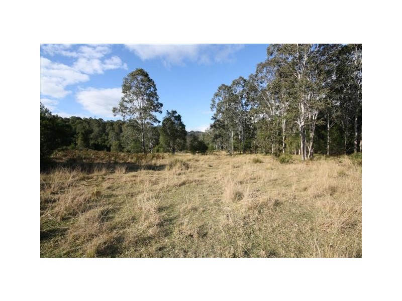 Birdwood NSW 2446