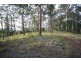 Birdwood NSW 2446