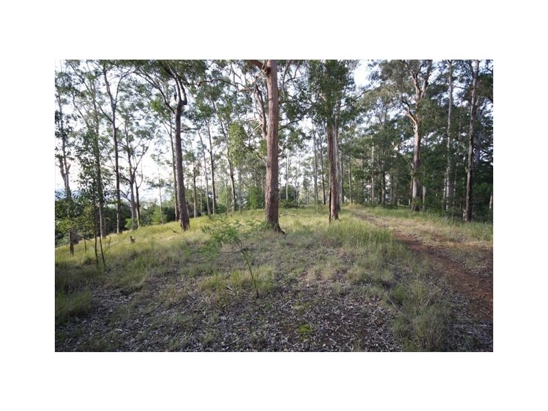 Birdwood NSW 2446