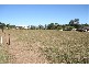 44 Bunderra Drive, Beechwood NSW 2446