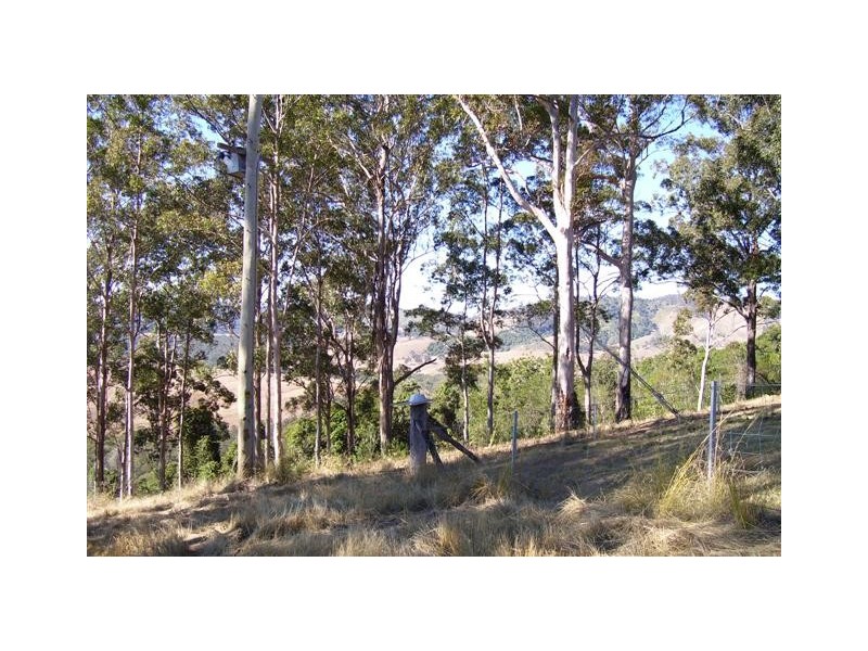 Ellenborough NSW 2446