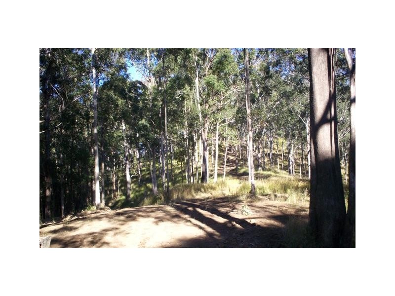 Ellenborough NSW 2446