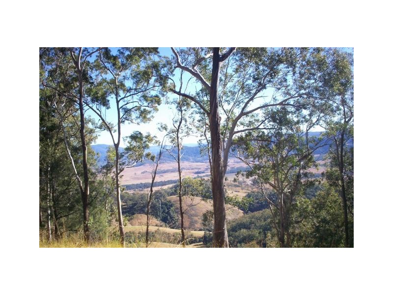 Ellenborough NSW 2446