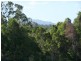 Crosslands NSW 2446