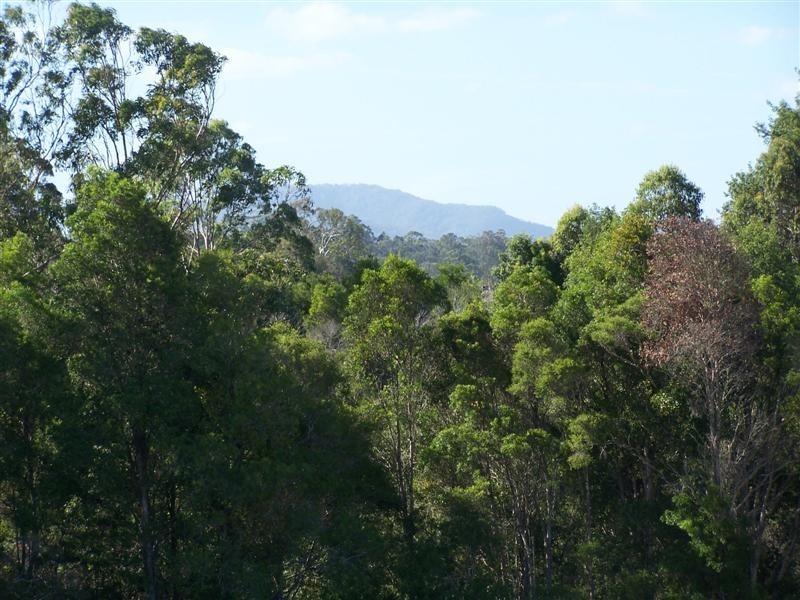 Crosslands NSW 2446