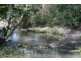 362 Sharkeys Rd, Wauchope NSW 2446