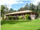 Sancrox NSW 2446