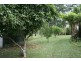 Wauchope NSW 2446