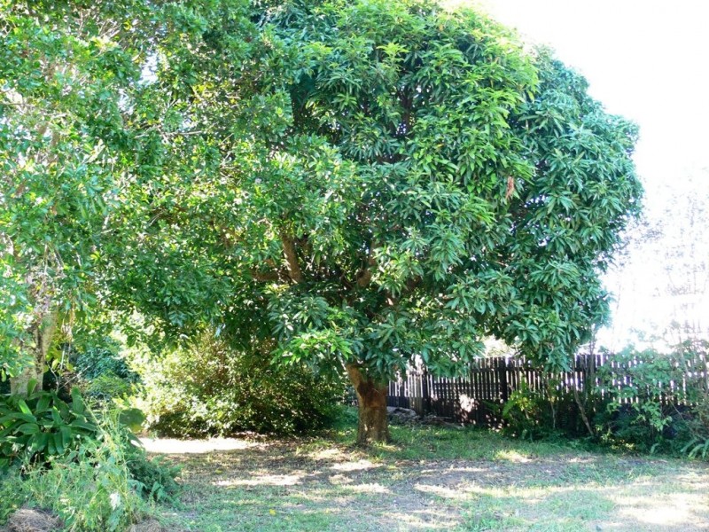 19 Maine Terrace, Deception Bay QLD 4508