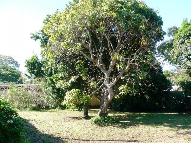 19 Maine Terrace, Deception Bay QLD 4508