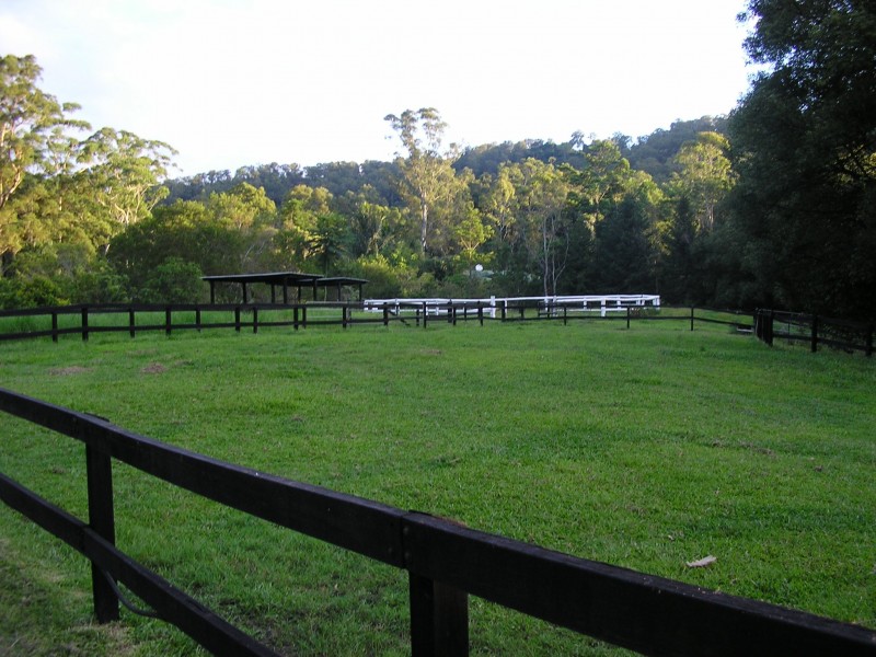 Mooloolah Valley QLD 4553