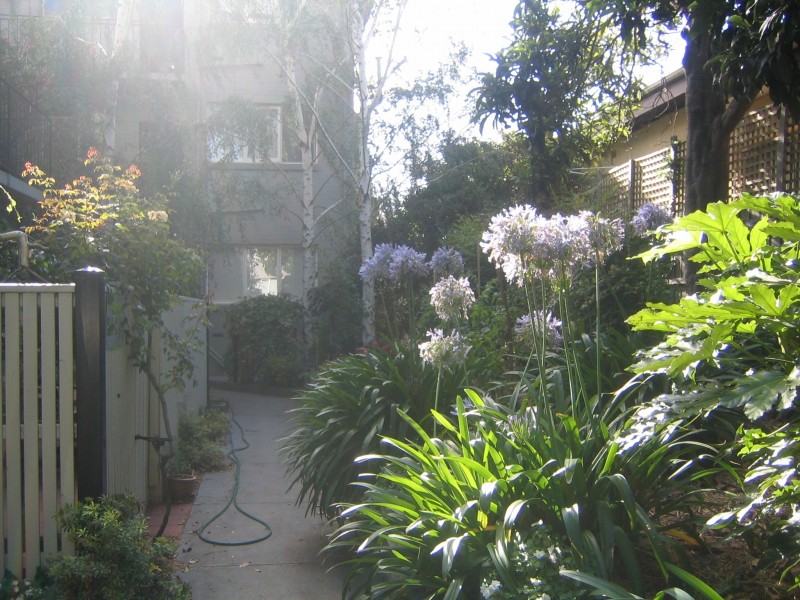 25/55 Alexandra Street, St Kilda East VIC 3183