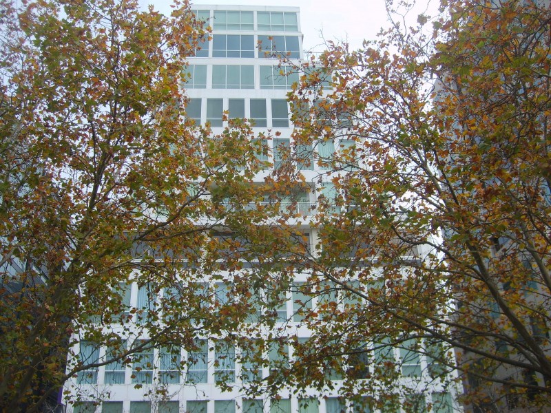 111 & 112/604 St Kilda Road, Melbourne VIC 3004