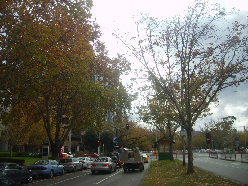 111 & 112/604 St Kilda Road, Melbourne VIC 3004