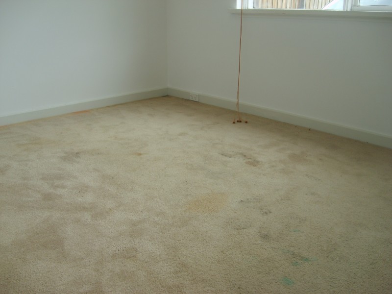 3/38 Elm Grove, St Kilda East VIC 3183