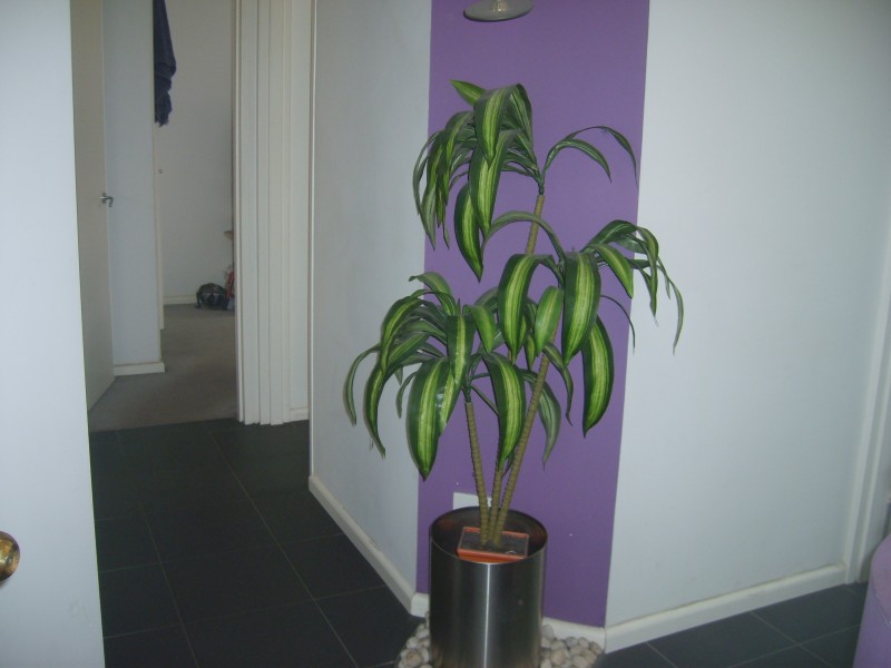 9/325 Orrong Road, St Kilda East VIC 3183