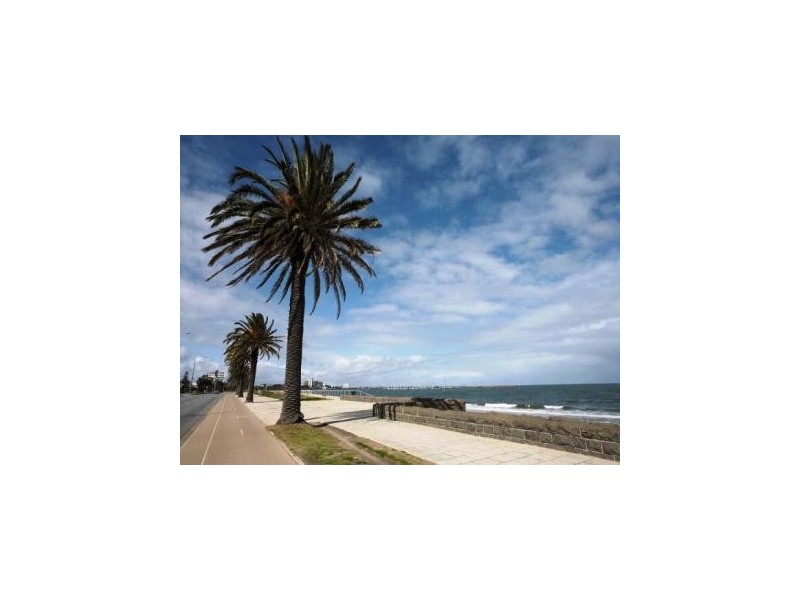 46 Langridge Street, Middle Park VIC 3206