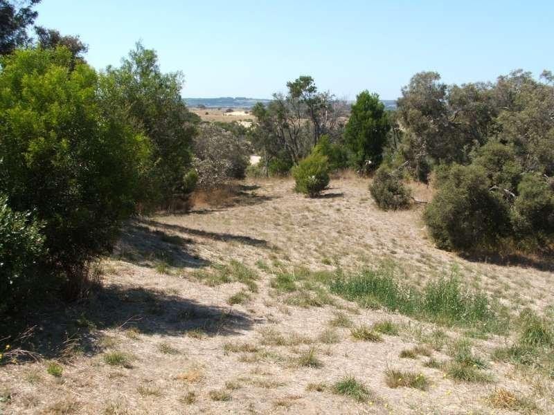 310 Woodlands Way, Fingal VIC 3939