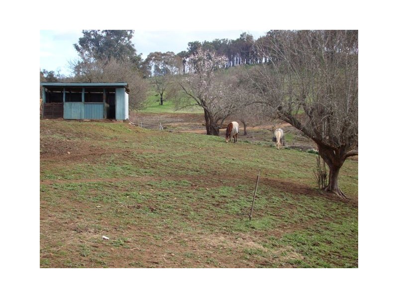 41 Flintoff Rd, Bridgetown WA 6255