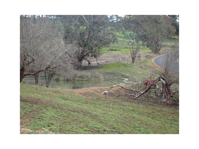 41 Flintoff Rd, Bridgetown WA 6255