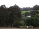 131 Walter Rd, Bridgetown WA 6255