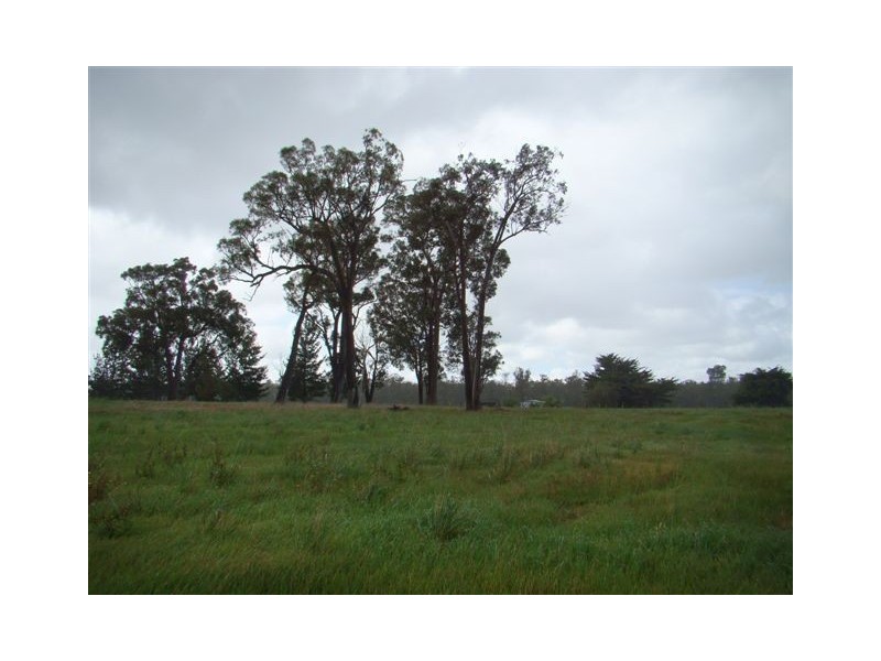 Lot 102 Charolais Street, Bridgetown WA 6255