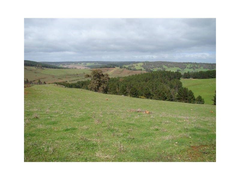 91 Maple View, Bridgetown WA 6255