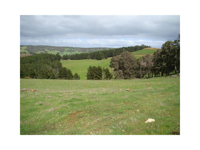 91 Maple View, Bridgetown WA 6255