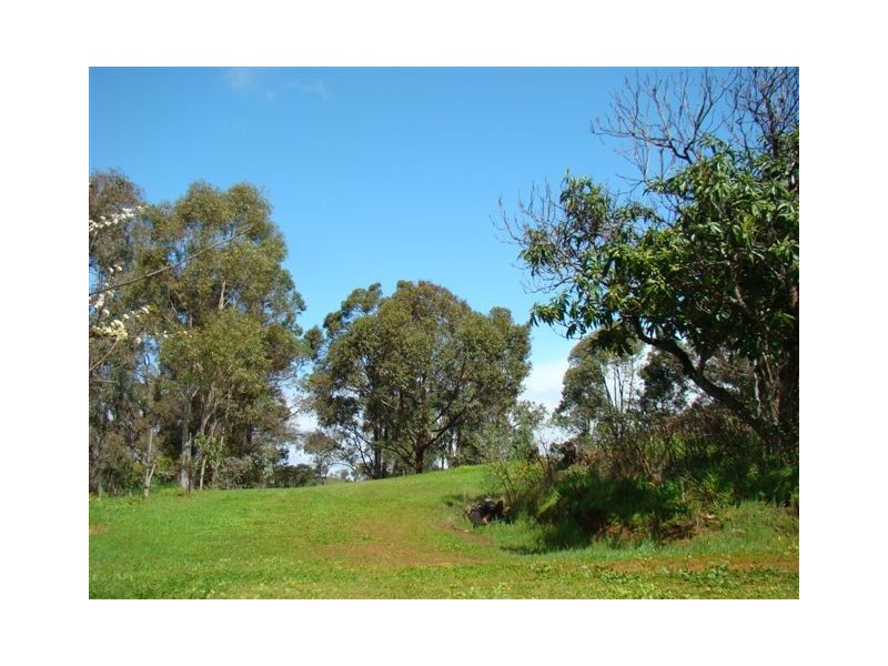 11 Loftie St, Bridgetown WA 6255