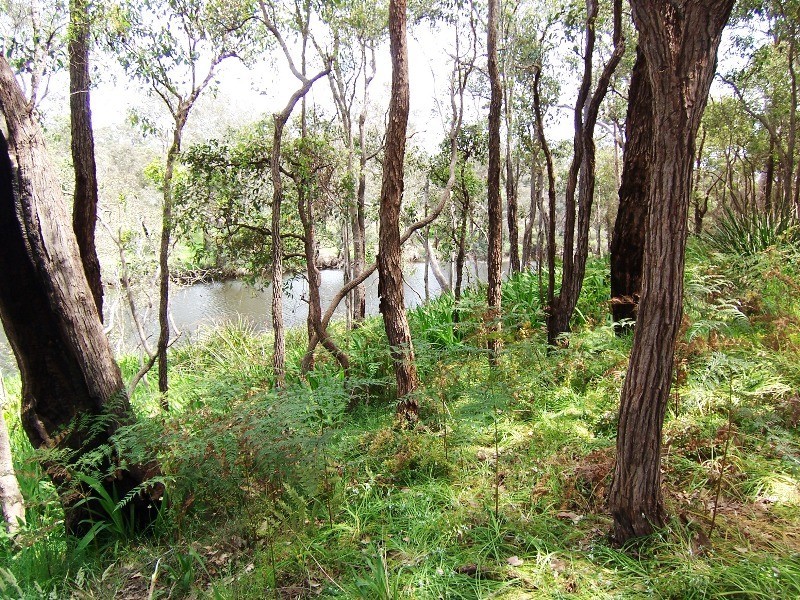 292 Eedle Terrace, Bridgetown WA 6255