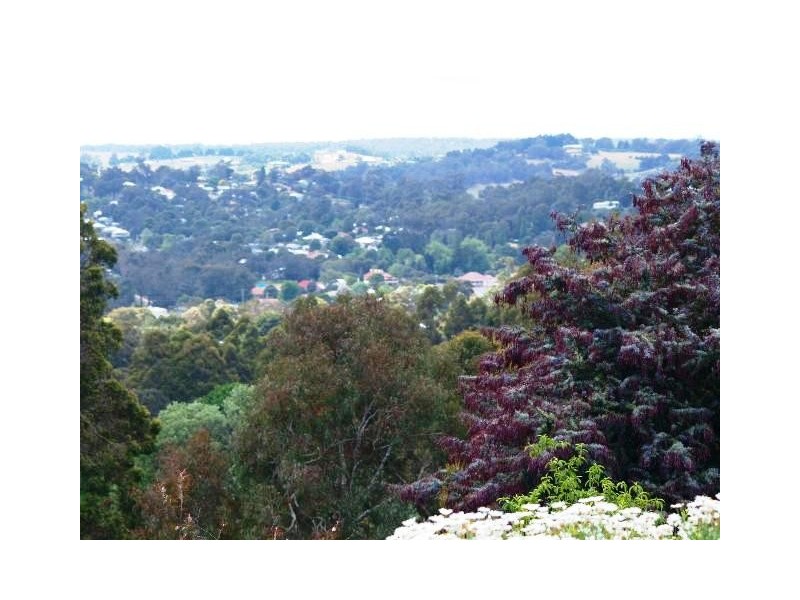 11 Dreyfus Street, Bridgetown WA 6255