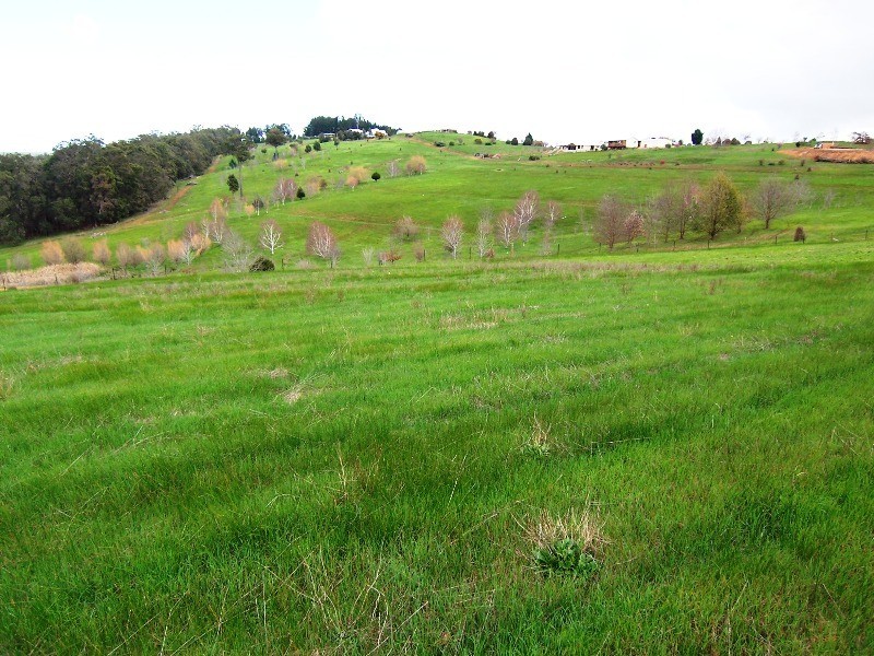 69 Golden Ash Rise, Bridgetown WA 6255