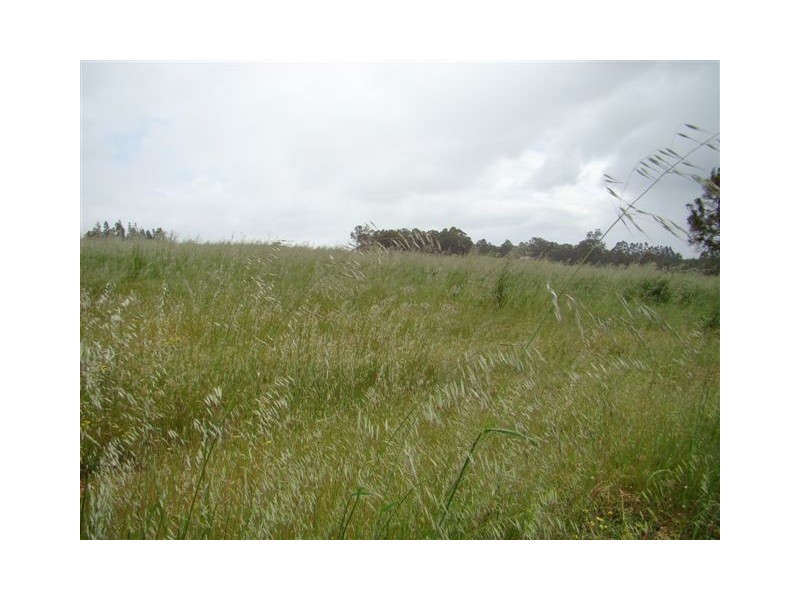 168 Manor Ridge, Bridgetown WA 6255