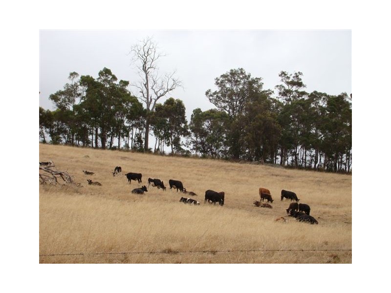 904 Winnejup Rd, Bridgetown WA 6255