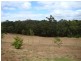 Pr./Lot Blackwood Terrace, Bridgetown WA 6255