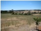 64 Robinia Way, Bridgetown WA 6255